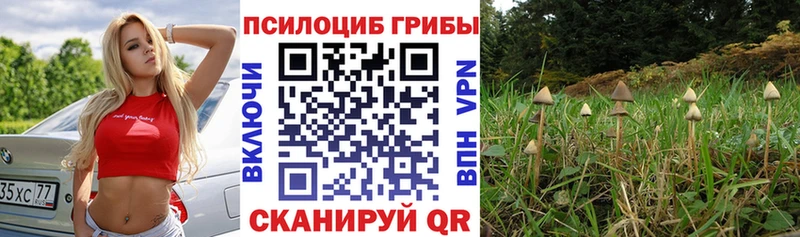 Псилоцибиновые грибы ЛСД  Белогорск 